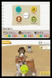 Nintendogs - Chihuahua & Friends thumbnail 5