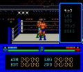 Fire Pro Wrestling thumbnail 5