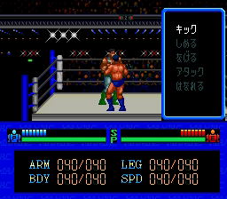 Fire Pro Wrestling image 5
