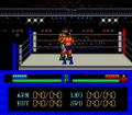 Fire Pro Wrestling thumbnail 6