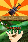 Simple DS Series Vol. 3: The Mushitori Oukoku thumbnail 2