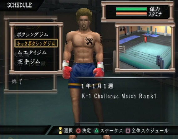K-1 World Max 2005 image 11