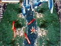 Layer Section II thumbnail 6