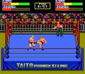 Champion Wrestler thumbnail 3
