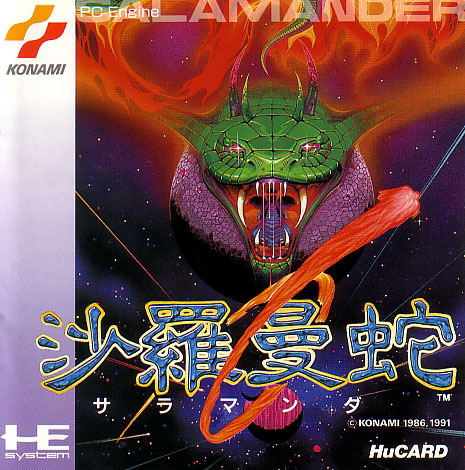 Salamander image 1