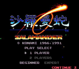 Salamander image 2