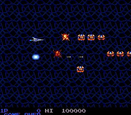 Salamander image 3