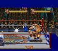 Muscle Bomber: The Body Explosion thumbnail 2