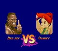 Super Street Fighter II: The New Challengers thumbnail 5
