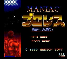 Fire Pro Wrestling image 2