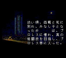 Fire Pro Wrestling image 3
