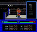 Fire Pro Wrestling thumbnail 5