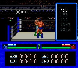 Fire Pro Wrestling image 5