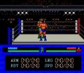 Fire Pro Wrestling thumbnail 6