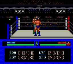 Fire Pro Wrestling image 6
