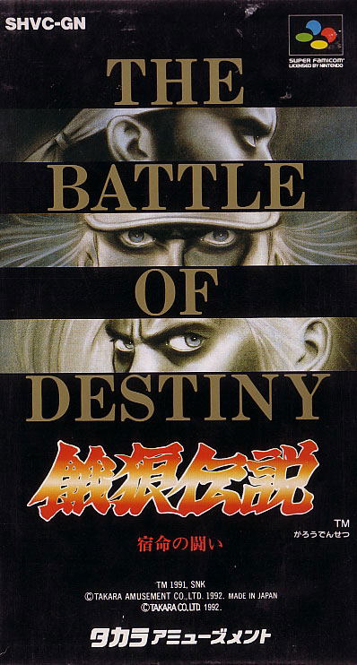 Fatal Fury: King of Fighters image 1