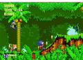 Sonic Mega Collection Plus thumbnail 3