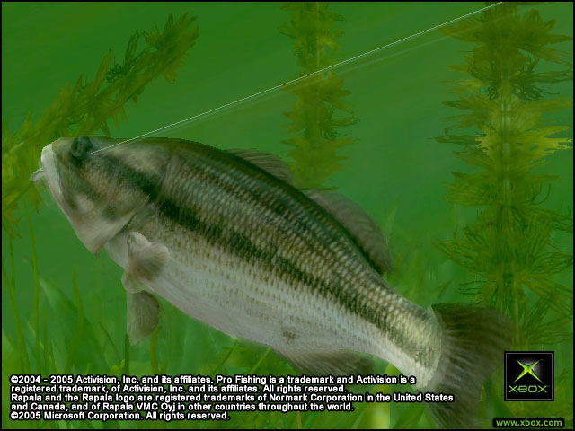 Rapala Pro Fishing (Xbox World Collection) image 3