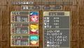 Breath of Fire III thumbnail 21