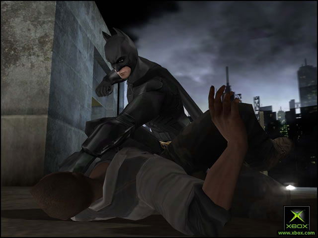 Batman Begins image 3