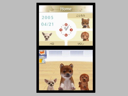 Nintendogs: Labrador and Friends image 3