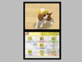 Nintendogs: Labrador and Friends thumbnail 5