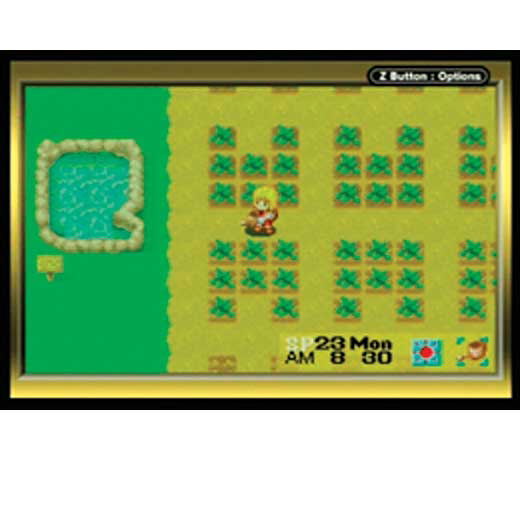 Harvest Moon: More Friends of Mineral Town image 3