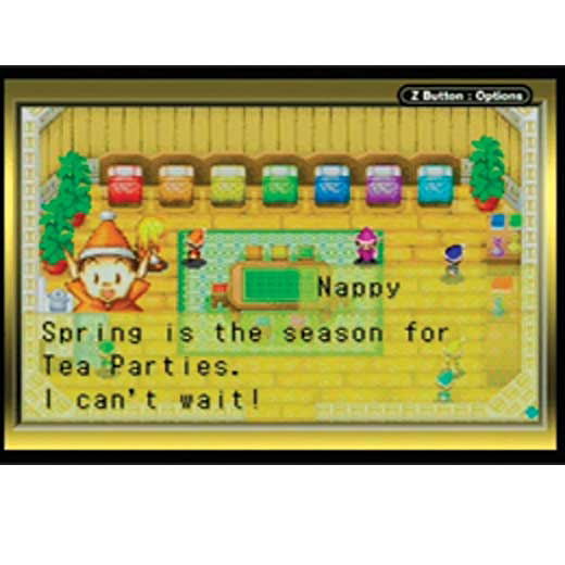 Harvest Moon: More Friends of Mineral Town image 4