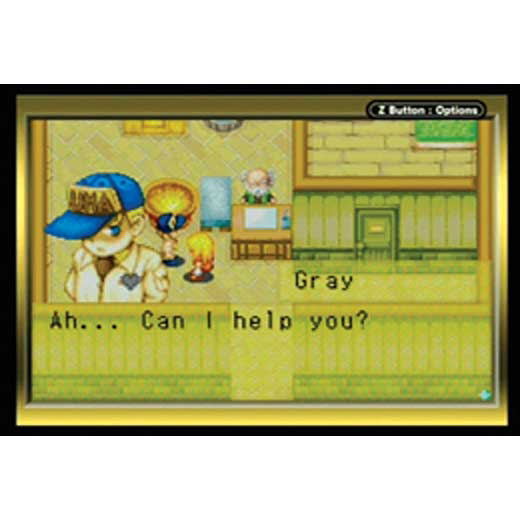 Harvest Moon: More Friends of Mineral Town image 5