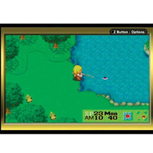 Harvest Moon: More Friends of Mineral Town image 6