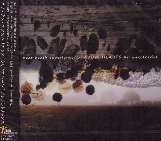 near death experience, Shadow Hearts Arrangetracks image 1