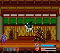 Iga Ninden Gaiou thumbnail 5