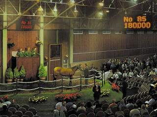 Winning Post 6 (Koei Best) image 3
