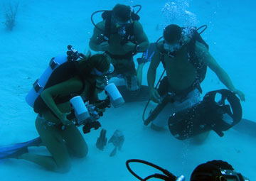 Into the Blue image 3