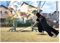 Bleach: Hanatareshi Yabou thumbnail 3