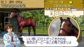 Derby Time (PSP the Best) thumbnail 2