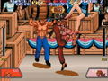 Taito Memories Last Volume thumbnail 7