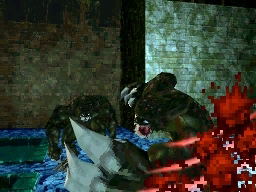 BioHazard DS [Limited Pack] image 10