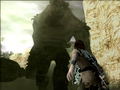 NICO thumbnail 8