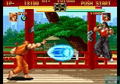Art of Fighting Collection thumbnail 4