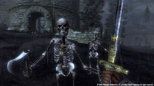 The Elder Scrolls IV: Oblivion image 3