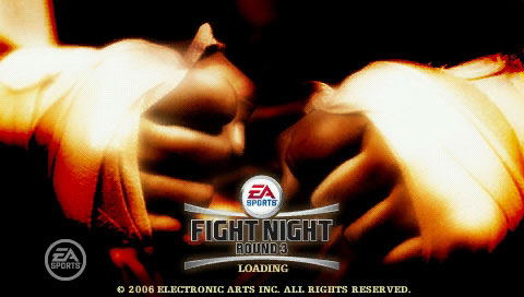 Fight Night Round 3 image 2