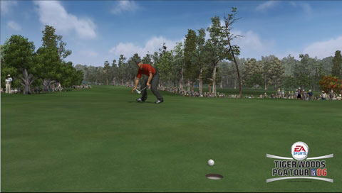 Tiger Woods PGA Tour 06 image 3