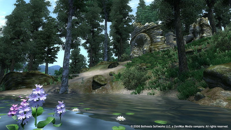 The Elder Scrolls IV: Oblivion image 2