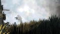 Battlefield 2: Modern Combat thumbnail 5