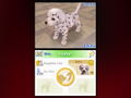 Nintendogs: Dalmatian & Friends thumbnail 4
