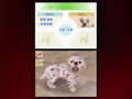 Nintendogs: Dalmatian & Friends thumbnail 5