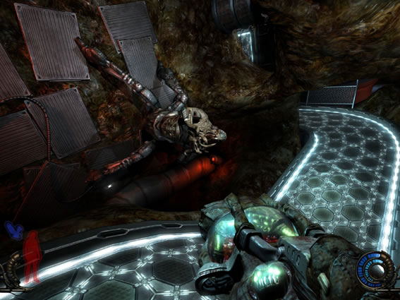 Prey image 2
