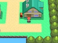 Pocket Monsters Pearl image 5