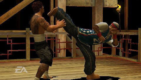 Def Jam Fight for NY: The Takeover image 7